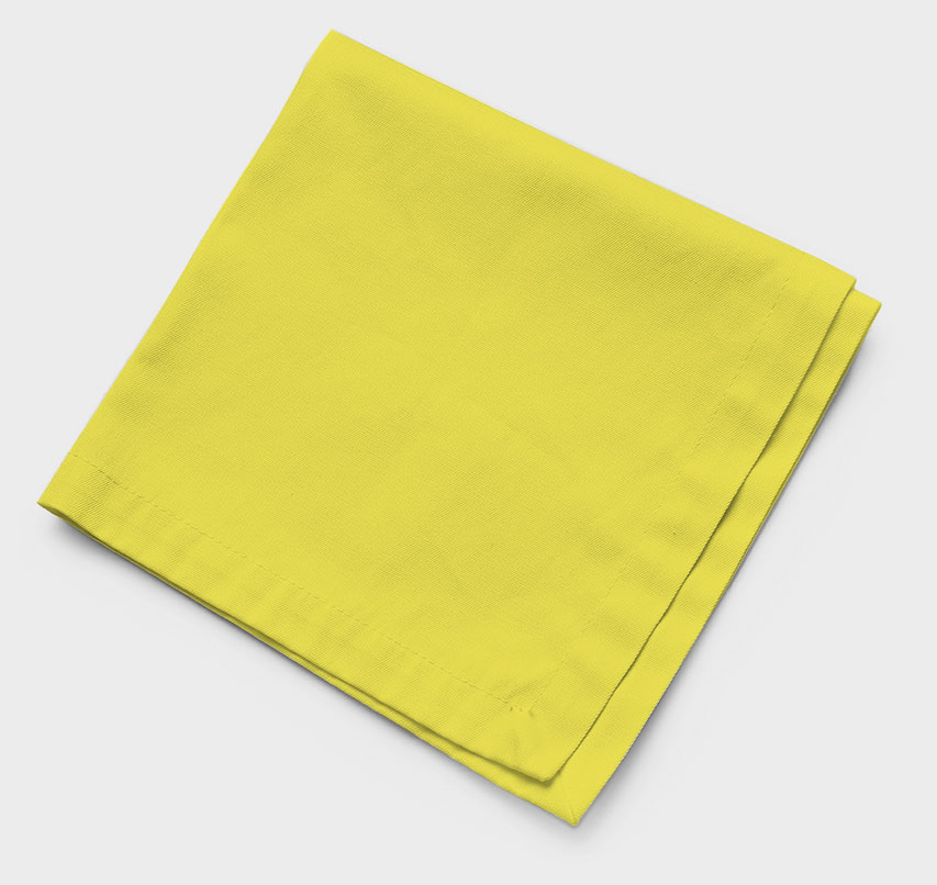 Stripe Linen Napkin - Yellow – House of Cardoon